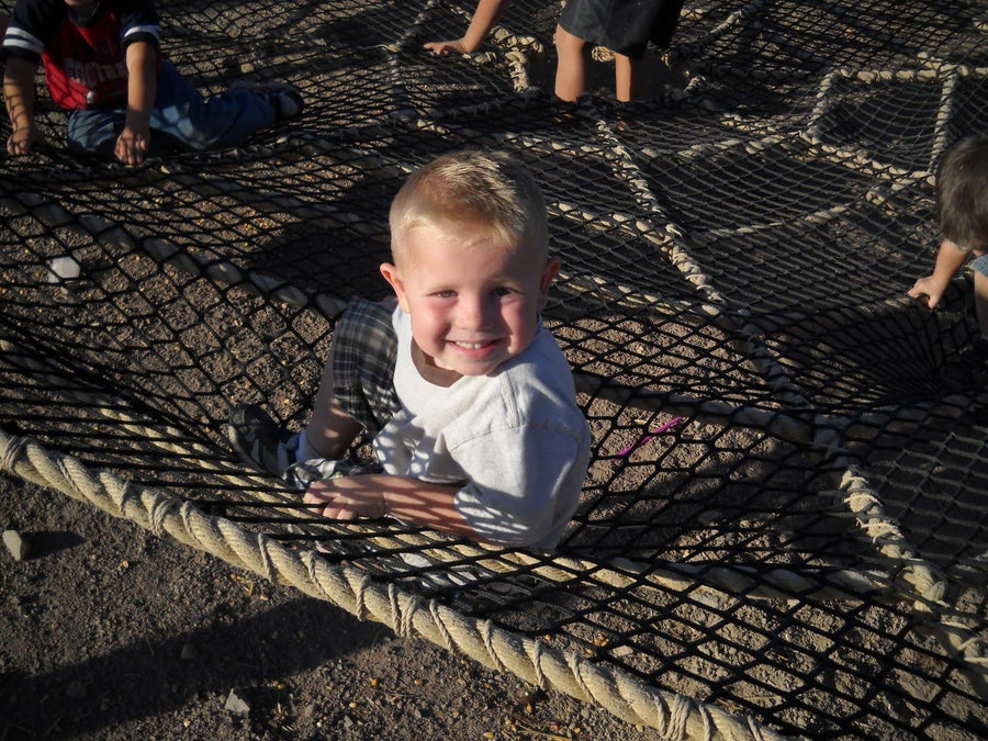 Spider Web - The MAiZE