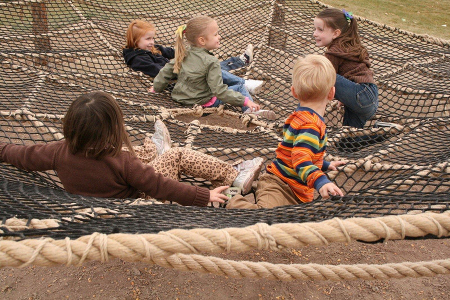 Spider Web - The MAiZE