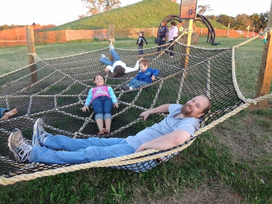 Spider Web - The MAiZE