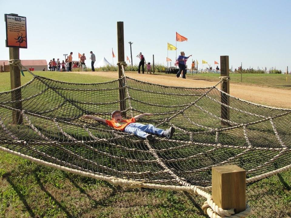 Spider Web - The MAiZE