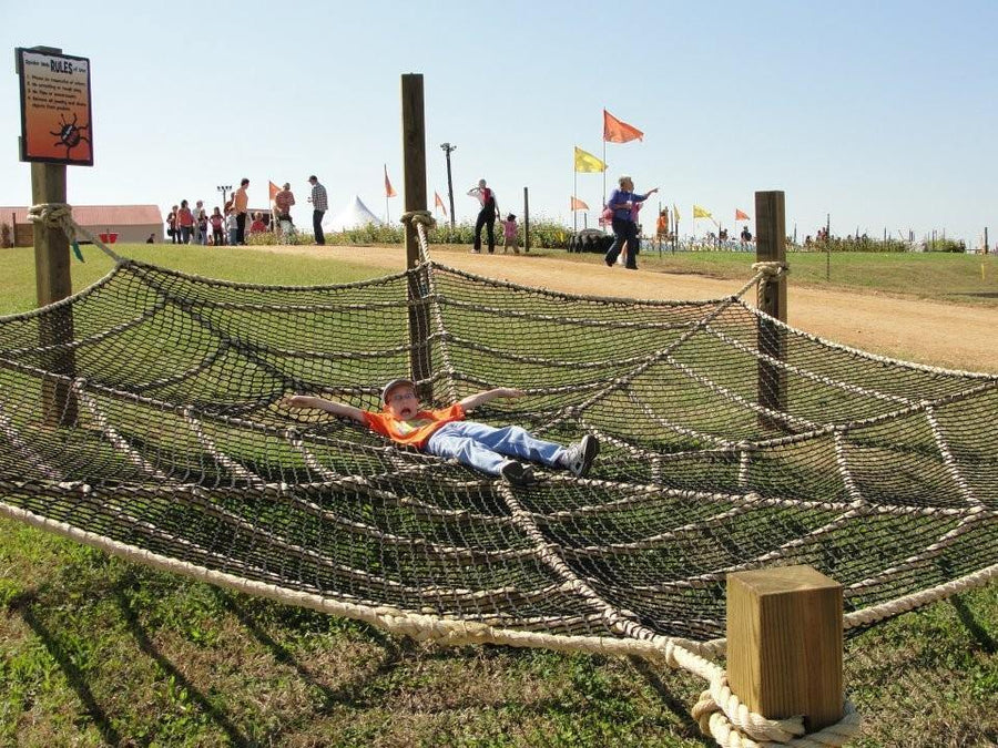 Spider Web - The MAiZE