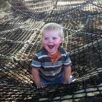 Spider Web - The MAiZE