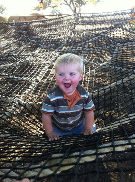 Spider Web - The MAiZE