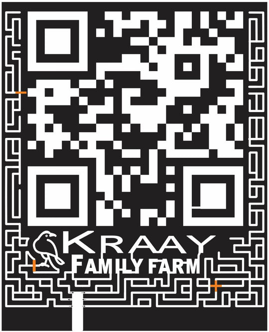 12_AB_Lacombe Alberta, scan, code, 2012, kraay, qr, bird,