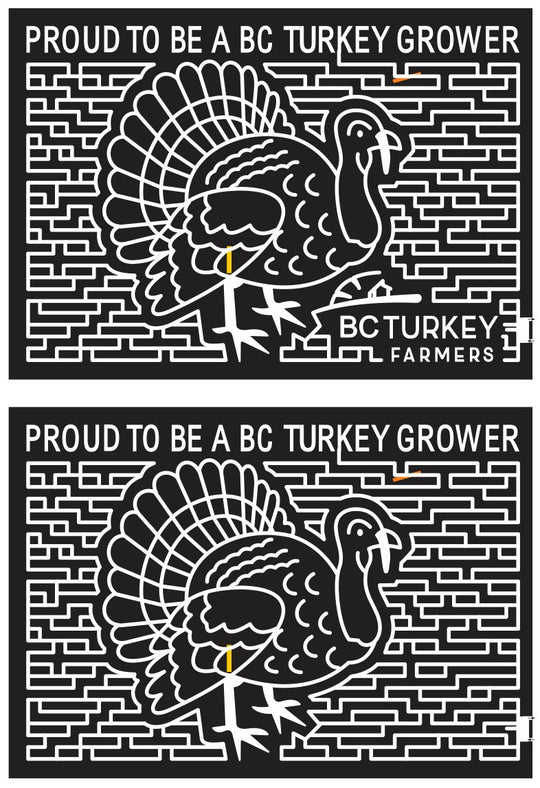 12_BC_Surrey_2 British Columbia, turkey, Animal, Bird, 2012, paths