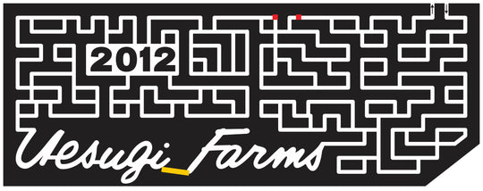 12_CA_Gilroy maze, California, paths, lines, straight, 2012, uesugi