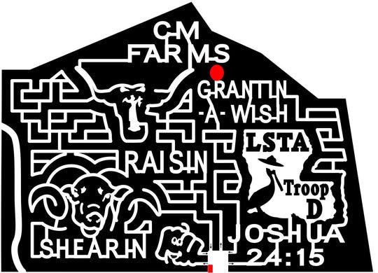 12_LA_Reeves Louisiana, state, shape, Animal, Pumpkin, Bull, bible, joshua, spookley, goat, Sheep, charity, 2012, lsta, shearin, make-a-wish