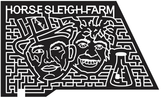 12_NJ_Washington New Jersey, science, Card, Lincoln, einstein, flask, Horse, sleigh, 2012, People, Person, card, face,