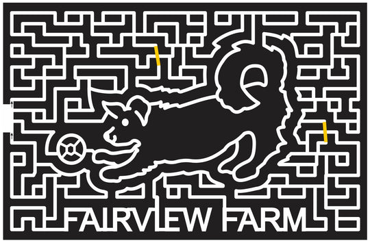 12_NY_Bridgehampton New York, Dog, Ball, Animal, play, 2012, fairview