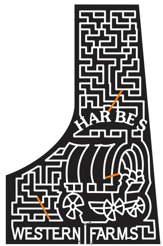 12_NY_Mattituck_3 New York, covered wagon, Wagon, wheel, western, Wheels, 2012, paths, harbes