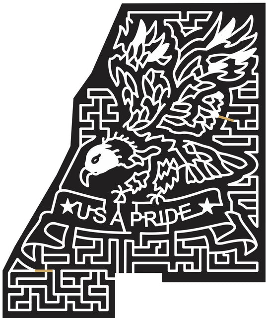 12_NY_Schaghticoke New York, Eagle, Bird, America, American, Ribbon, USA, Patriotic, banner, Wings, 2012