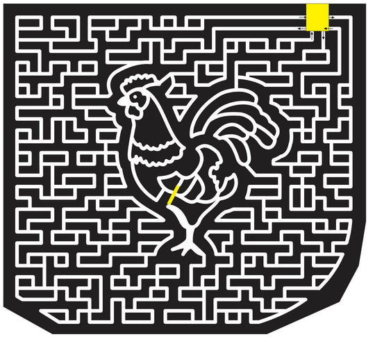 12_SC_Enoree South Carolina, Chicken, Bird, Animal, 2012, paths