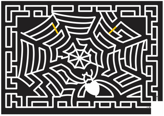 12_TN_Memphis Tennessee, spiderweb, Spider, web, Halloween, 2012