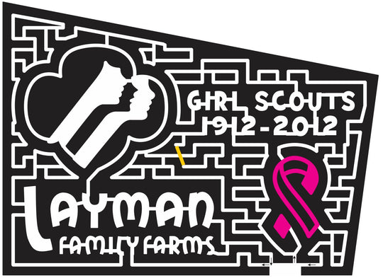 12_VA_Roanoke Virginia, girl scouts, Ribbon, organization, charity, sponsor, 2012, Layman, logo
