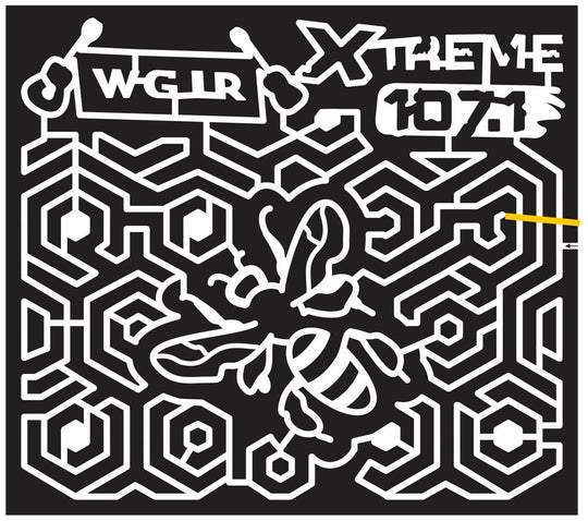 12_WI_Lancaster Wisconsin, beehive, Bee, Guitar, 2012, Hive, combs, wgir, xtreme