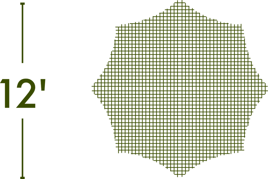 Spider Web - The MAiZE