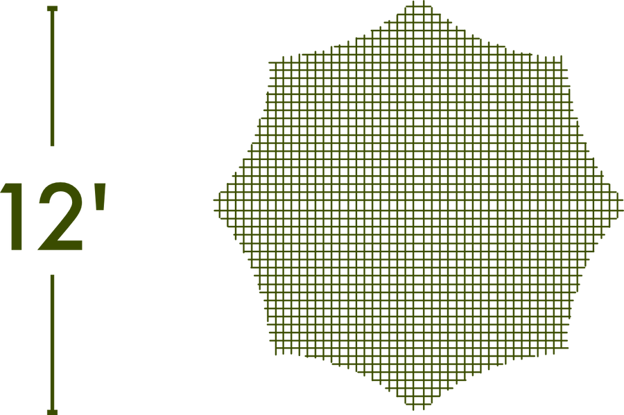 Spider Web - The MAiZE