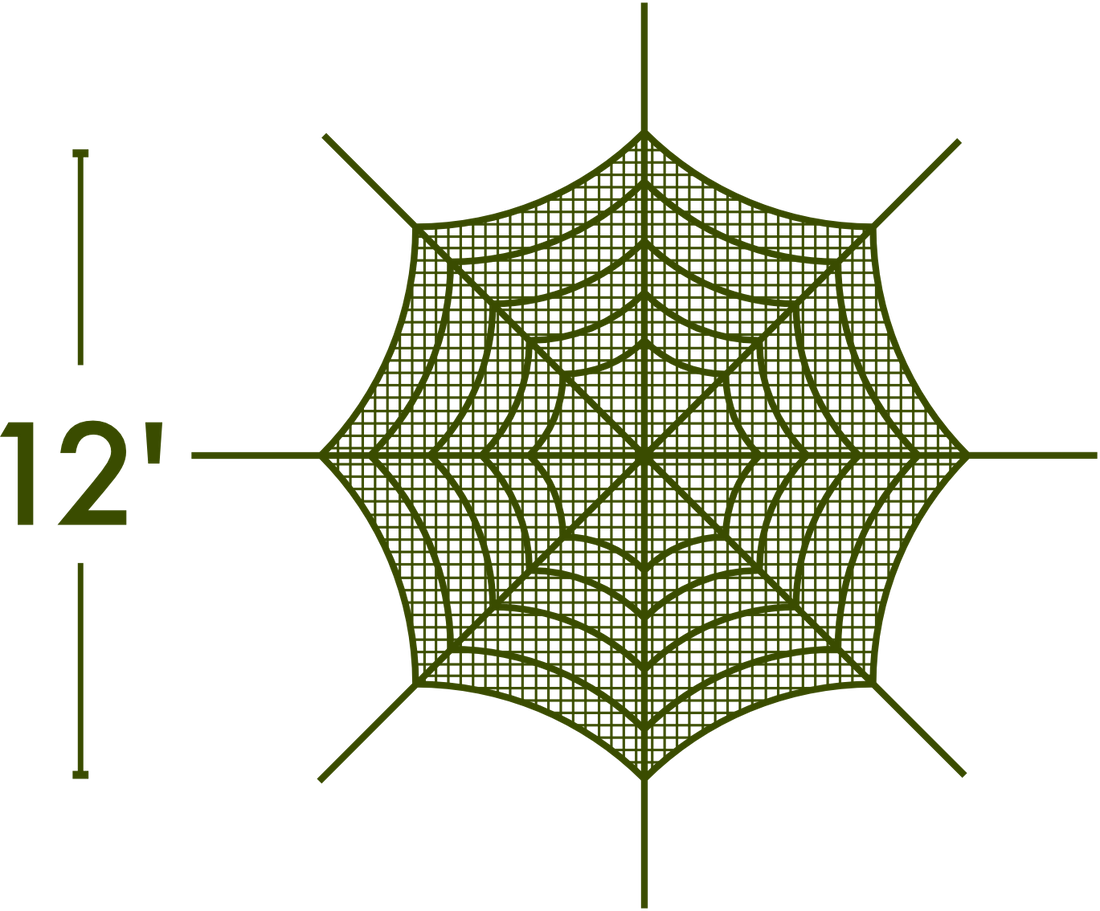 Spider Web - The MAiZE