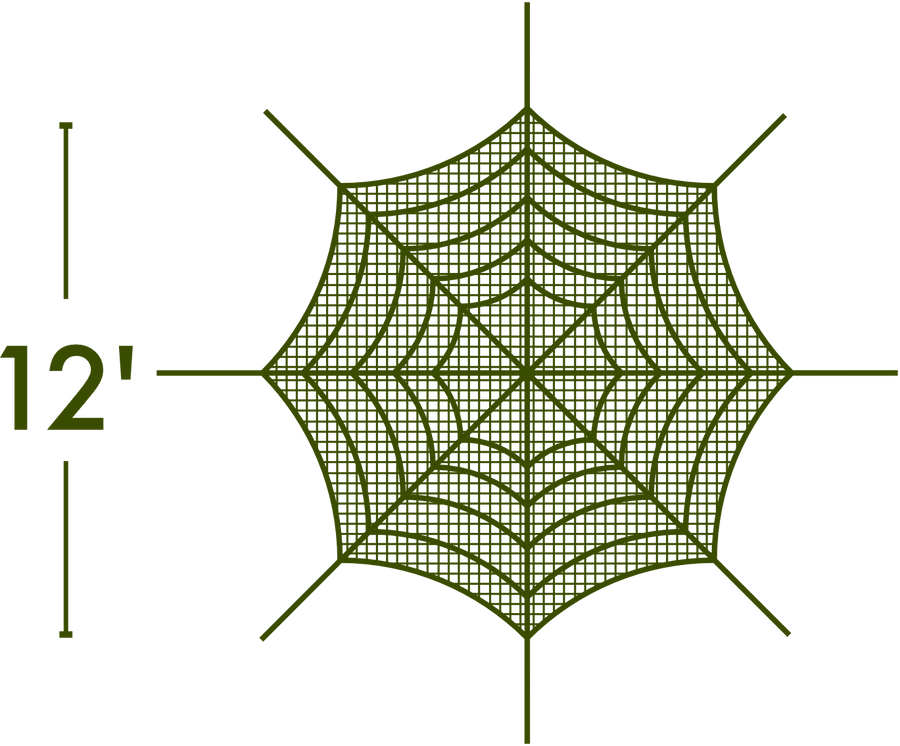 Spider Web - The MAiZE