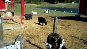 Bus Tour, Hillridge Farm