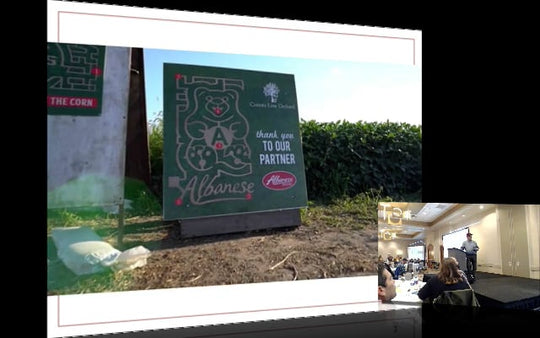 Albanance Gummy Bear Maze