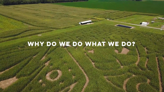 Year In Review at the 2018 Corn Party in Chicago