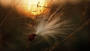 Dewitt Jones Extraordinary Vision