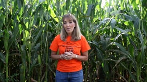 Farm Field Trip Video 2014 video Washington Farm