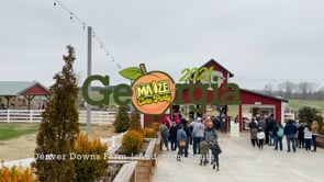 Denver Downs Farm Tour 2021