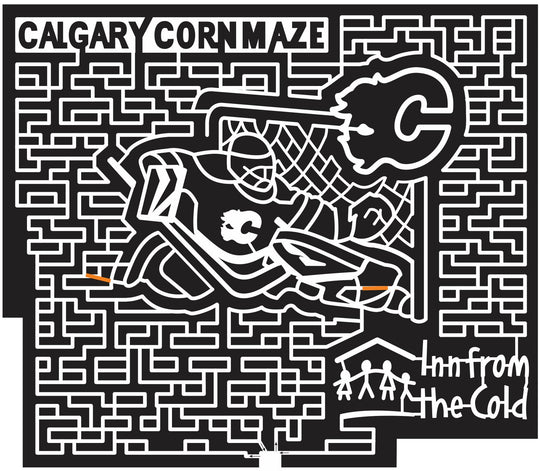 14_AB_Calgary Alberta Canada 2014 sports hockey player logo net paths inn cold sponsor .JPG