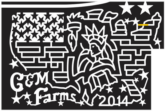 14_CA_Livermore 2014 California patriotic statue liberty flame torch star flag american usa shape country.JPG