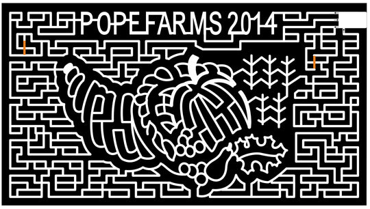 14_CO_Wiggins 2014 Colorado corn stalk leaf fruit pumpkin grape pear cornucopia thanksgivig holday.JPG