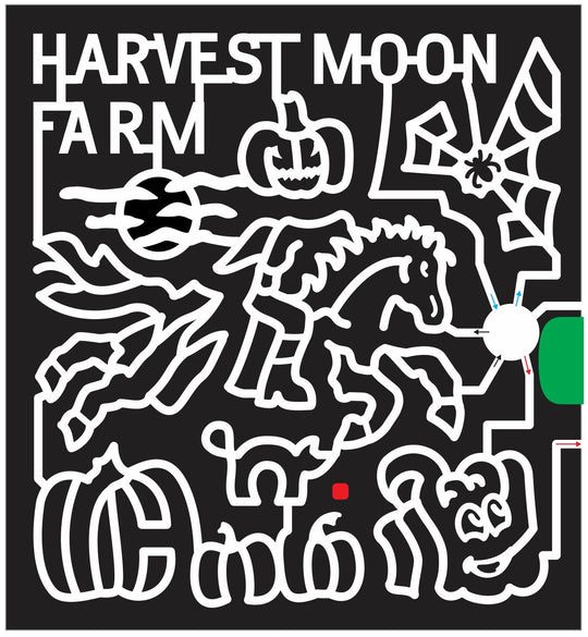 14_FL_Masaryktown 2014 Florida moon clouds spider web headless horseman horse pumpkin carved cat jack o lantern spookley halloween.JPG