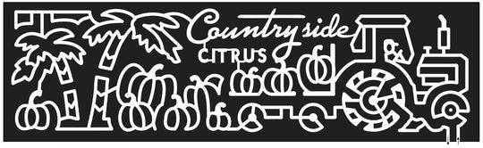 14_FL_Vero_Beach 2014 Florida palm tree pumpkins tractor farmer wheel.JPG