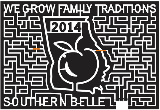 14_GA_McDonough 2014 Georgia state shape peach fruit stem paths.JPG