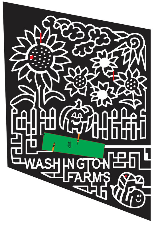 14_GA_Watkinsville 2014 Georgia sunflower flower sun clouds pumpkin carved fence bee insect spring.JPG