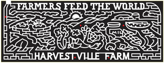 14_IA_Donnellson Iowan 2014 fruit vegetable basket tomato milk jug watermelon carrot pepper radish zuchini sun field barn farm.JPG