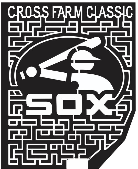 14_IL_Tinley_Park 2014 Illinois baseball sox white sports logo bat hat player.JPG