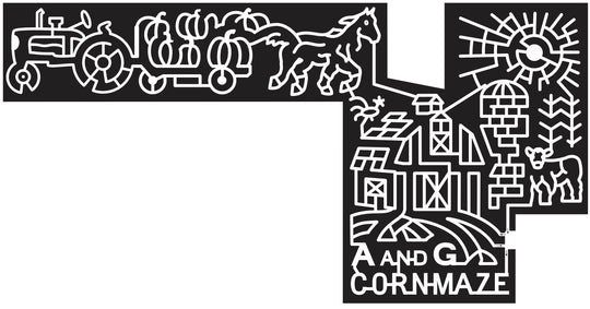 14_MN_St_Joseph 2014 Minnesota horse tractor wagon trailer pumpkin sun barn silo cow corn stalk rooster farm horse.JPG