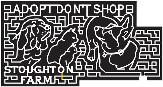 14_NY_Newark_Valley 2014 New York dog cat adopt adoption animals.JPG