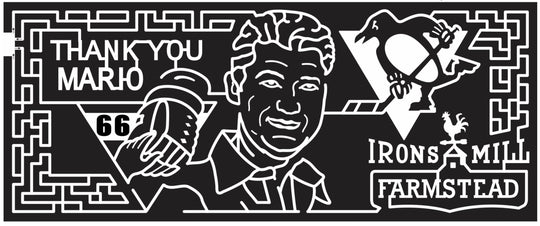 14_PA_New_Wilmington 2014 Pennsylvania penguin hockey ice face mario celebrity famous.JPG