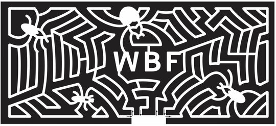 14_PA_Warrington. 2014 Pennsylvania spider web.JPG