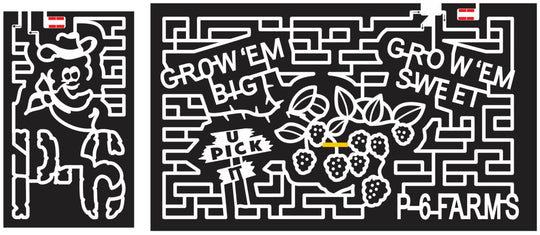 14_TX_Montgomery 2014 texas berry berries sign cowboy pig leaf.JPG