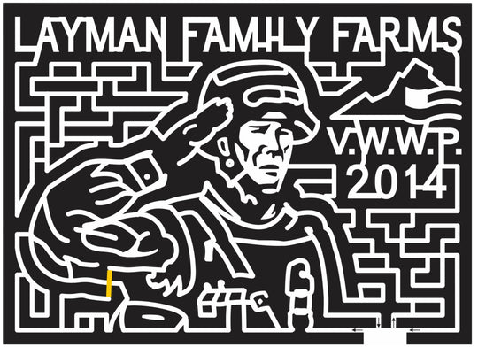 14_VA_Roanoke 2014 Virginia troop soldier patriotic vwwp salute.JPG