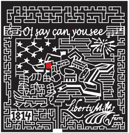 14_VA_Somerset 2014 Virginia music note firework ship building star flag.JPG