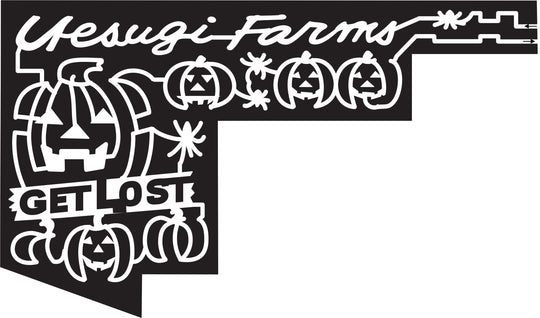 15_CA_Gilroy 2015, California, Gilroy, Get lost, pumpkins, umpkin, useugi, farm, useugi farms, spider