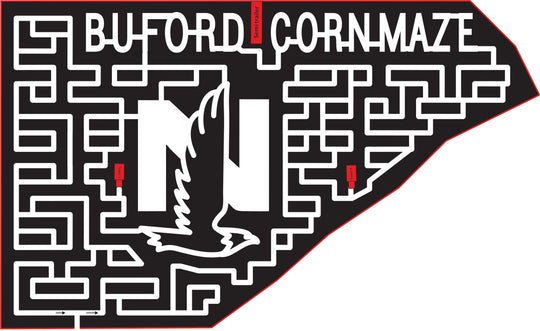 15_GA_ Buford, 2015, Georgia, Buford, Eagle, N, Nationwide, Buford, Cornmaze