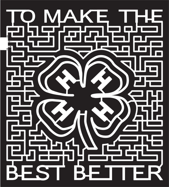 15_ME_Farmington 2015, Maine, Farmington, 4-H, 4h, Clover, To make the best better, Paths,