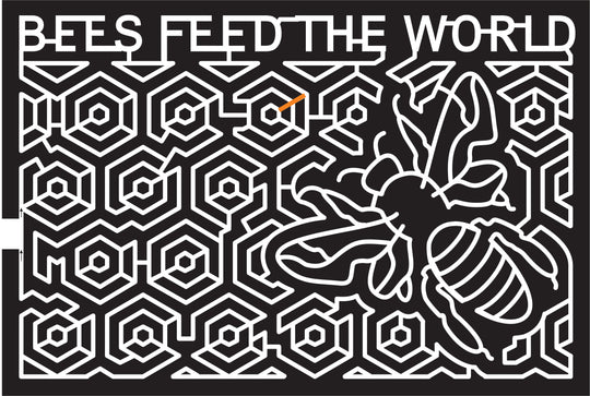 15_PEI 2015, Prince Edward Island, Belfast, Bees feed the world, Honeycomb, Bee, Insect, Wing, Wings, Bug, Honey