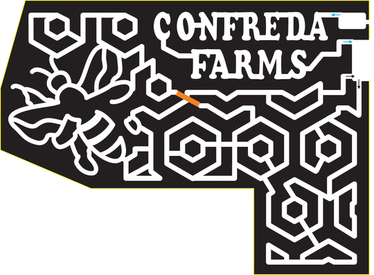 15_RI_Hope 2015, Rhode Island, Hope, Confreda Farms, Bee, Bug, Insect, Wing, Wings, Honey, Honeycomb